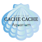 cachecache_aquariumuタイトル